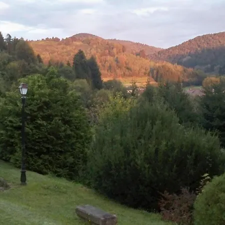 Maison De Charme A Lubine, Ideale Pour Randonnees Et Famille, Proche Alsace Et Stations De - Fr-1-589-192 Landsted Lubine