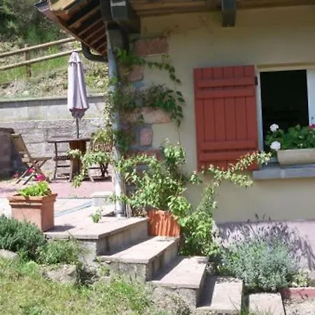 Maison De Charme A Lubine, Ideale Pour Randonnees Et Famille, Proche Alsace Et Stations De - Fr-1-589-192 Landsted *