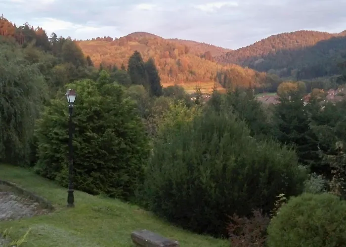Maison De Charme à Lubine, Idéale Pour Randonnées Et Famille, Proche Alsace Et Stations De - Fr-1-589-192 Casa vacanze Lubine