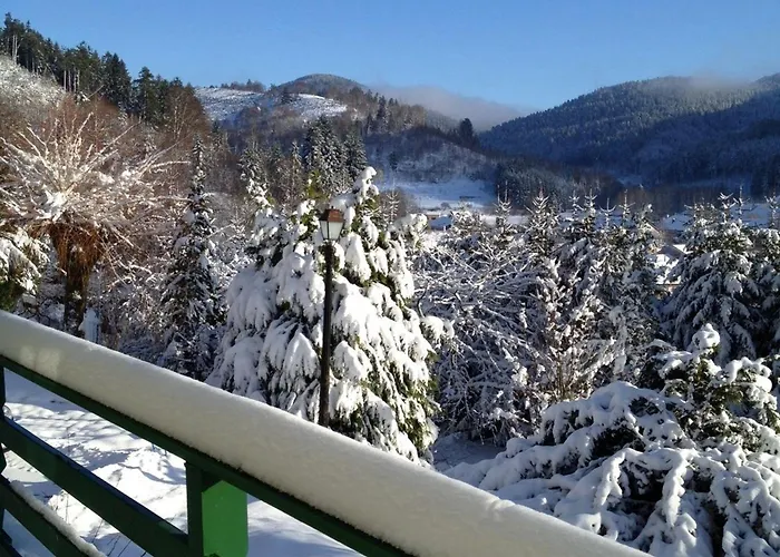 Maison De Charme à Lubine, Idéale Pour Randonnées Et Famille, Proche Alsace Et Stations De - Fr-1-589-192 Lubine